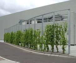 Tips Cara Mendesain dengan Alam Melalui Green Wall